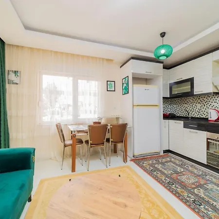 דירה Full-furnished Cozy Flat In Muratpasa אנטליה